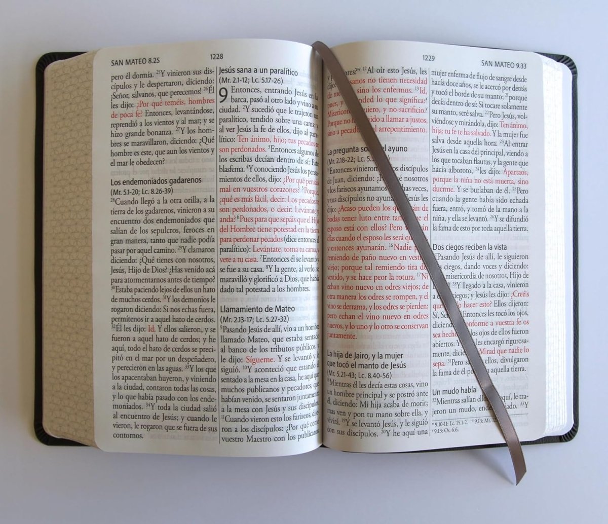 Biblia Reina-Valera 1960, Letra 14 Pt, 14×21, Palabras De Jesús En Rojo, Concordancia, Tapa PU, Gris