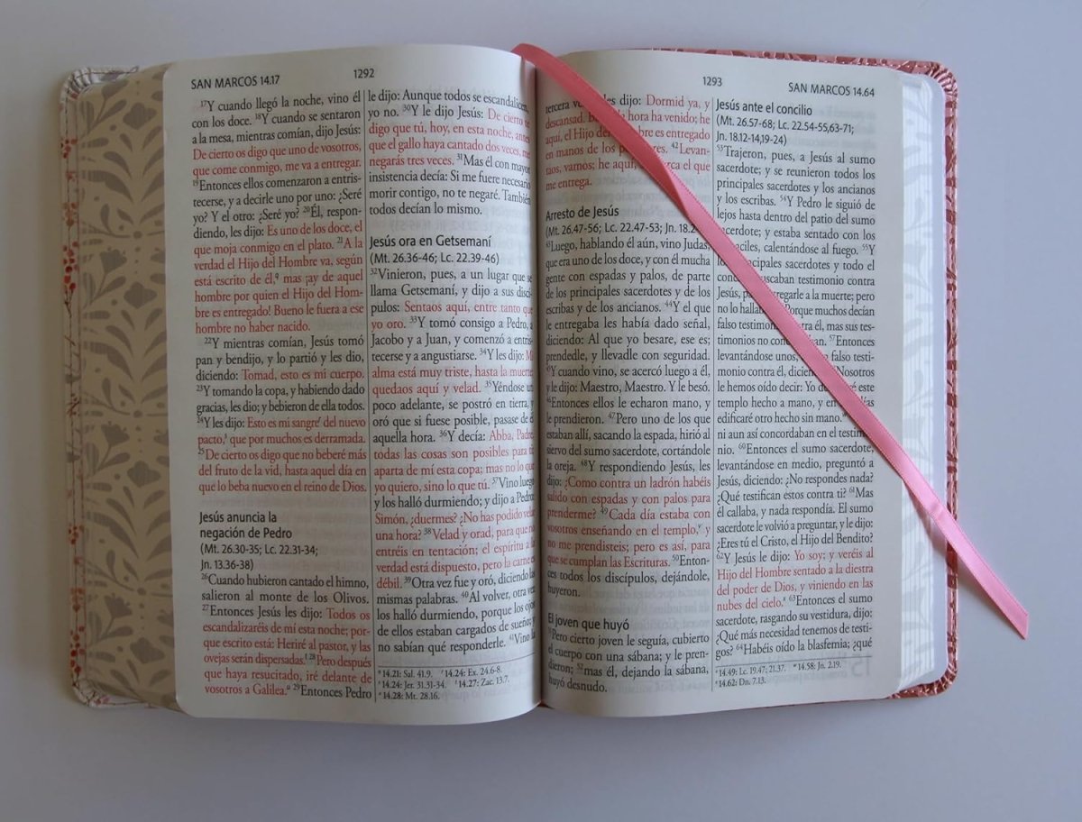Biblia Reina-Valera 1960, Letra 14 Pt, 14×21, Palabras De Jesús En Rojo, Concordancia, Tapa PU, Rosa, Flores