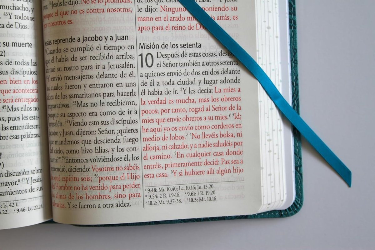 Biblia Reina-Valera 1960, Letra 14 Pt, 14×21, Palabras De Jesús En Rojo, Concordancia, Tapa PU, Azul, Pájaros