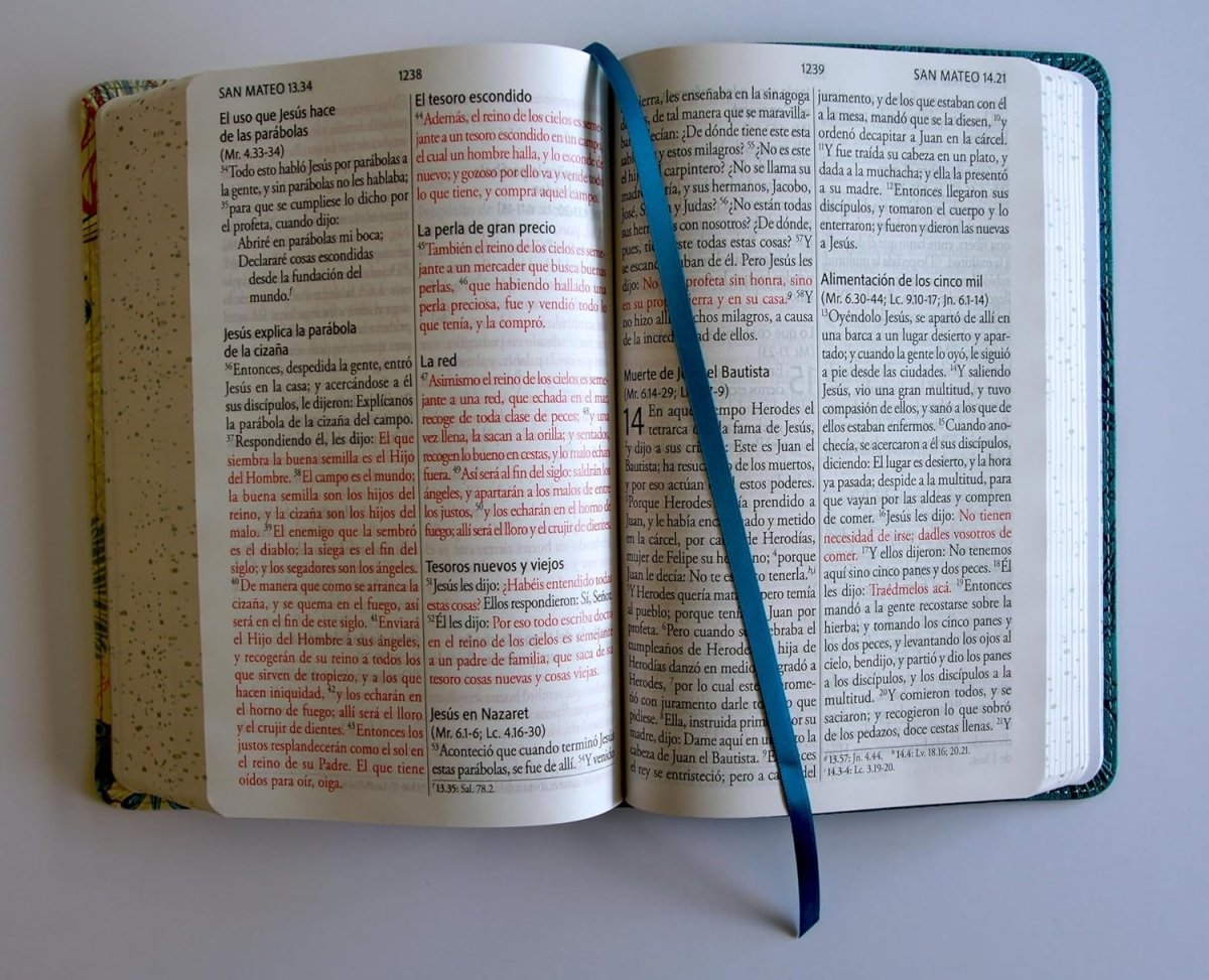 Biblia Reina-Valera 1960, Letra 14 Pt, 14×21, Palabras De Jesús En Rojo, Concordancia, Tapa PU, Azul, Pájaros