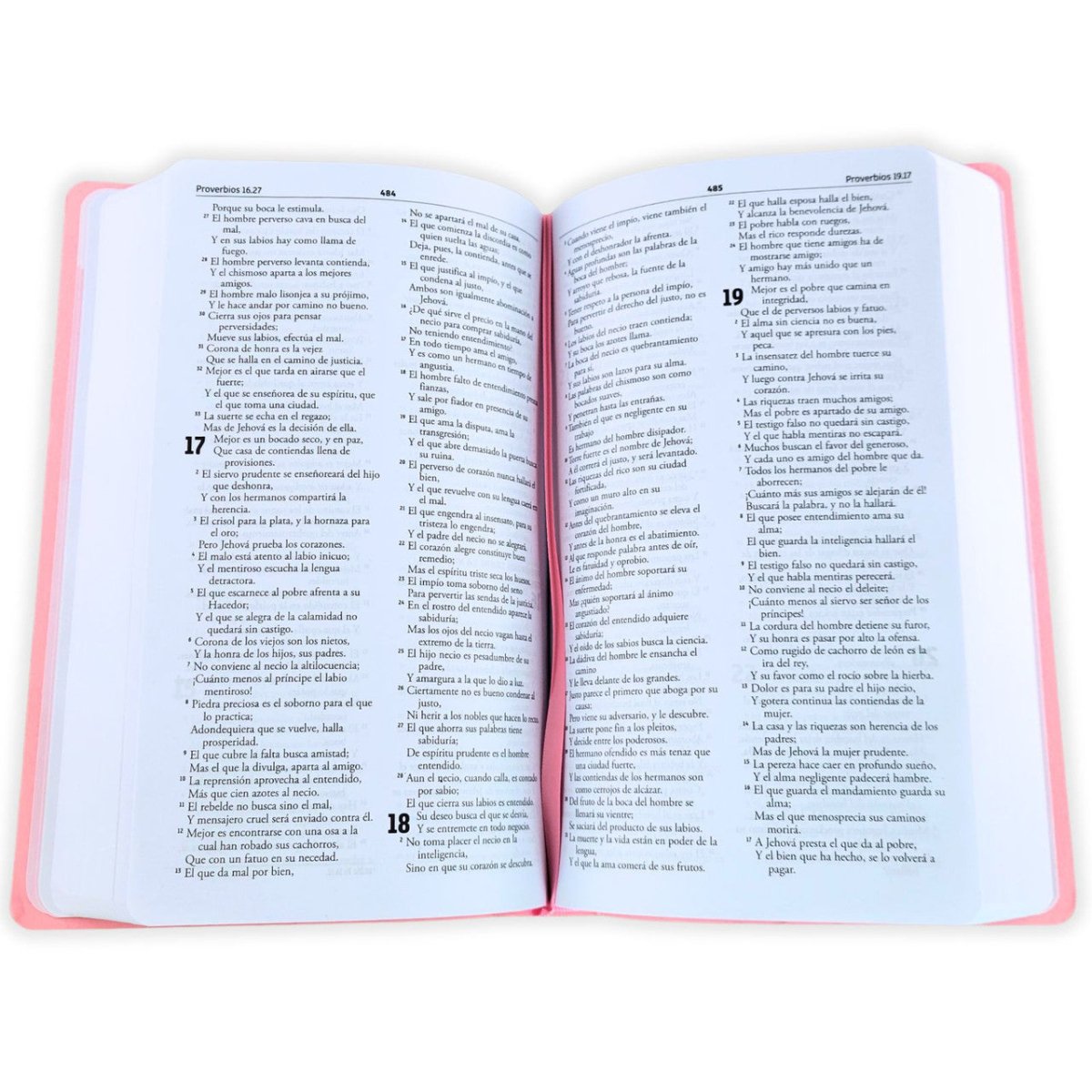 Biblia Reina Valera 1960 Momentos Especiales con Palabras de Jesús en Rojo – Tapa Rosada, Letra 9pt, 14x22 cm