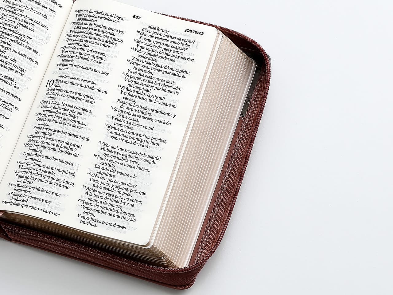 Biblia Reina Valera 1960 045Cz L 10P 13X18 Pjr Tricolor Café/Negro/Café