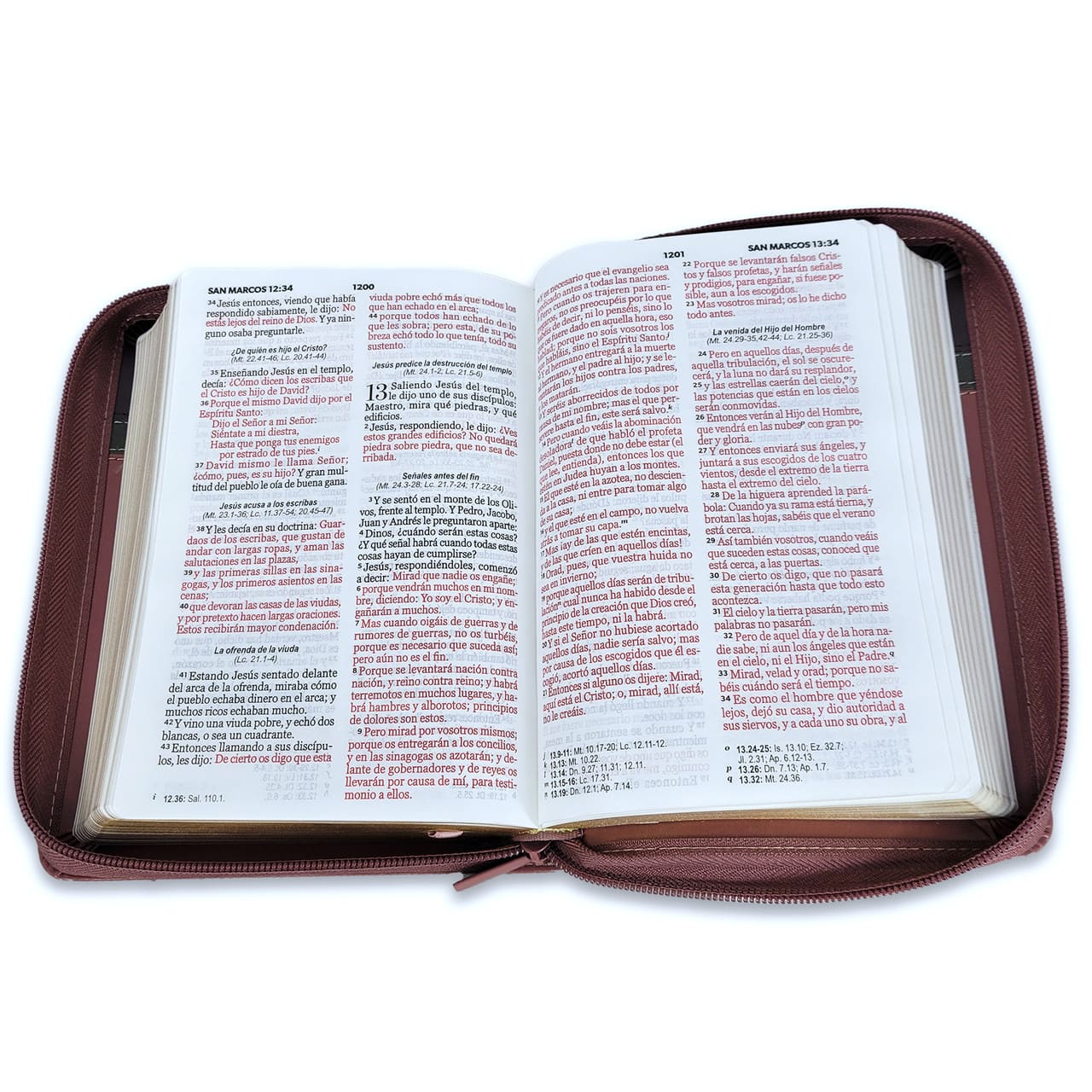 Biblia Reina Valera 1960 045Cz L 10P 13X18 Pjr Tricolor Café/Negro/Café