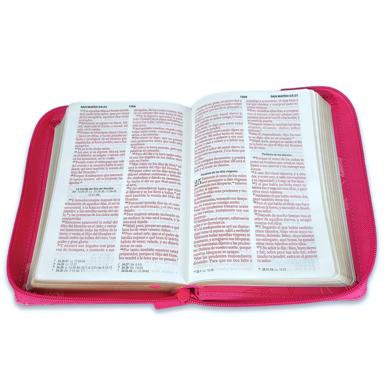 Biblia Reina Valera 1960 045Cz L 12P 13X18 Pjr Fucsia Con Hojas Primaverales