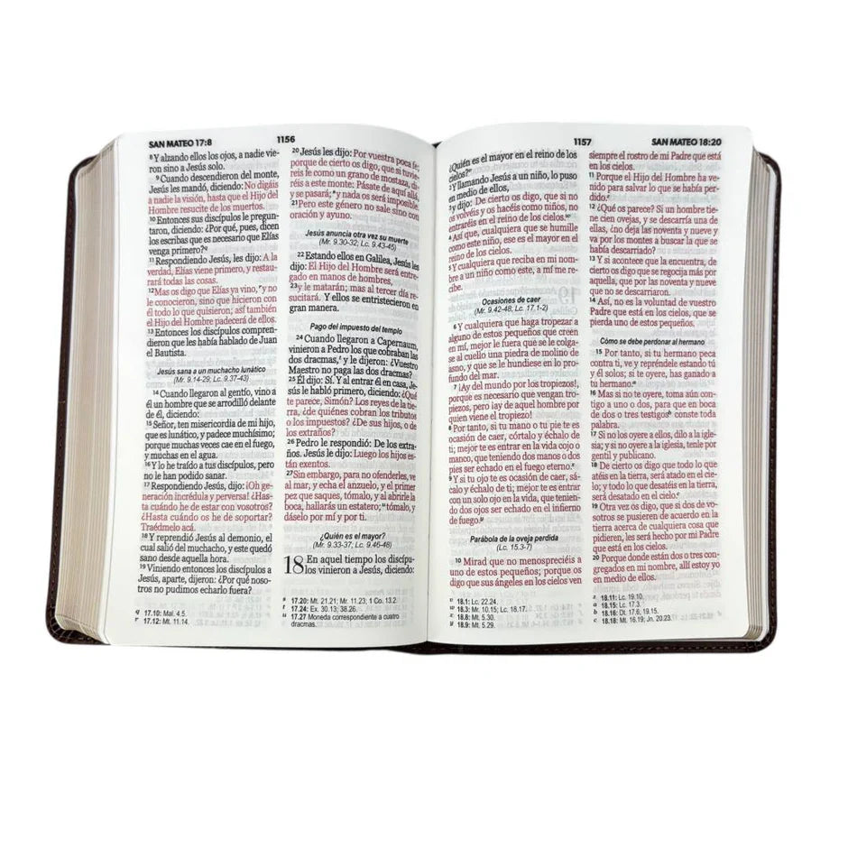 Biblia Reina Valera 1960 045C L 12P 13X18 Pjr Geométrico Café