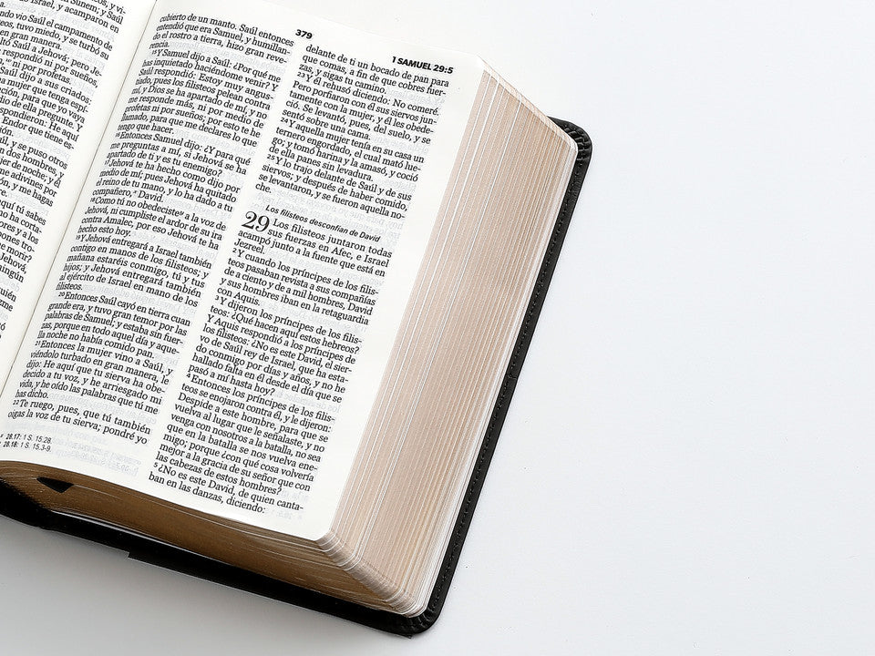 Biblia Reina Valera 1960 045C L 12P 13X18 Pjr Geométrico Negro
