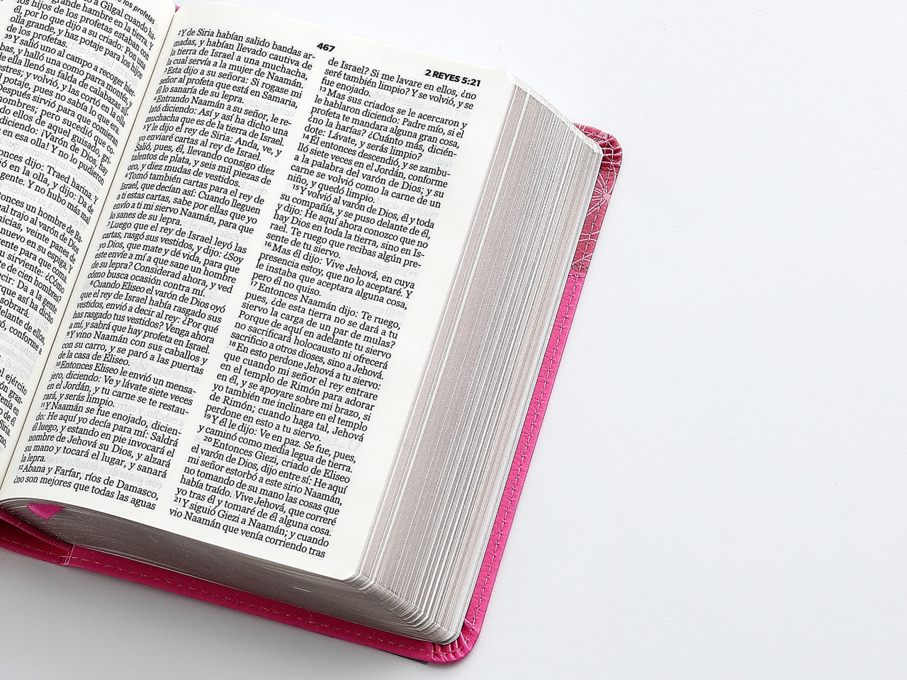 Biblia Reina Valera 1960 045C L 12P 13X18 Pjr Rosa/Rosa Flores