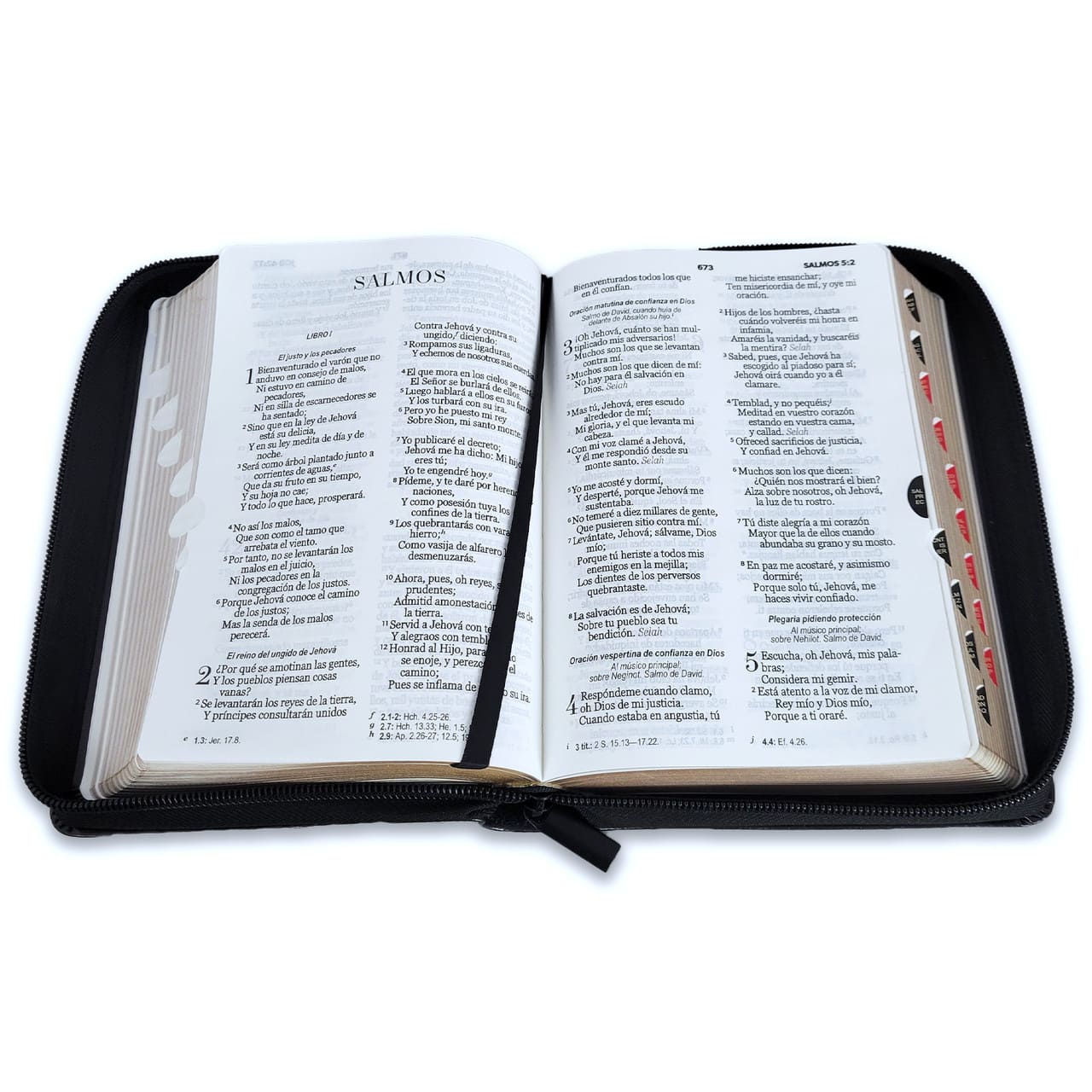 Biblia Reina Valera 1960 045Czti L 10P 13X18 Pjr León Y Cordero