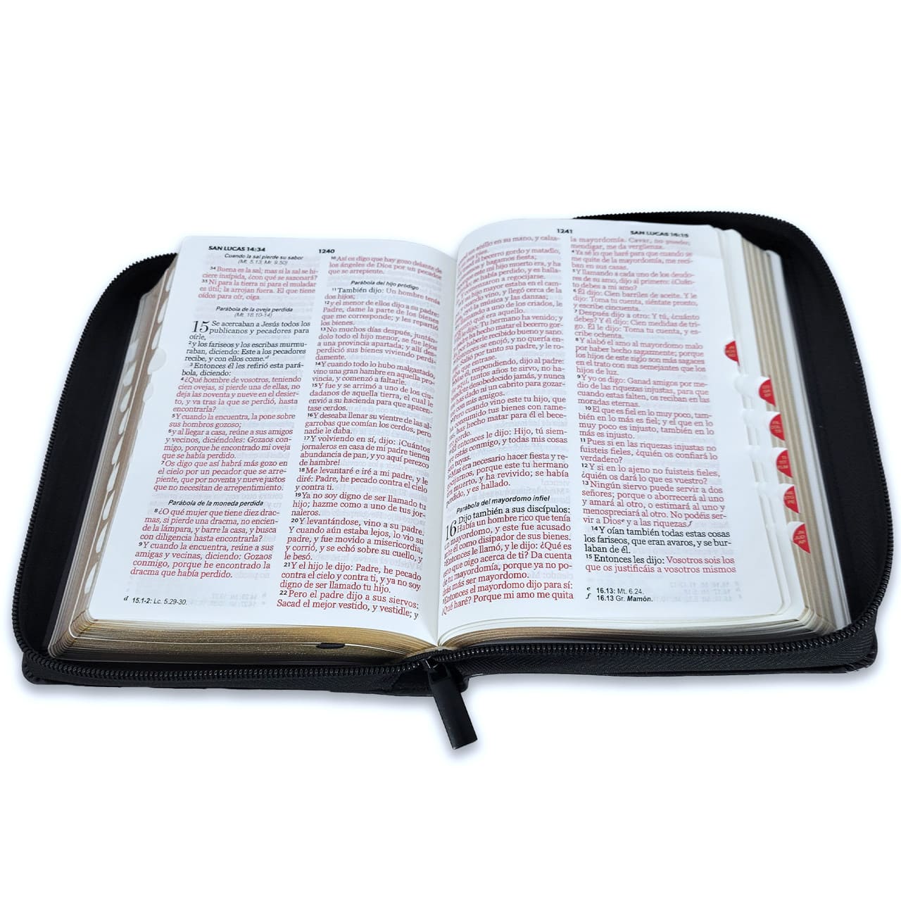 Biblia Reina Valera 1960 045Czti L 10P 13X18 Pjr León Y Cordero