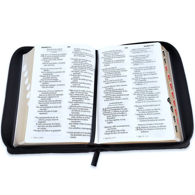 Biblia Reina Valera 1960 045Czti L 10P 13X18 Pjr Aguila China 200 8,70 1739,40