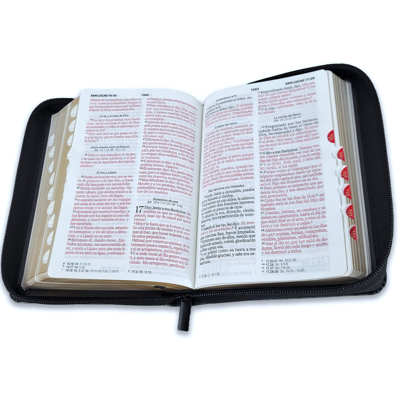 Biblia Reina Valera 1960 045Czti L 10P 13X18 Pjr Aguila China 200 8,70 1739,40