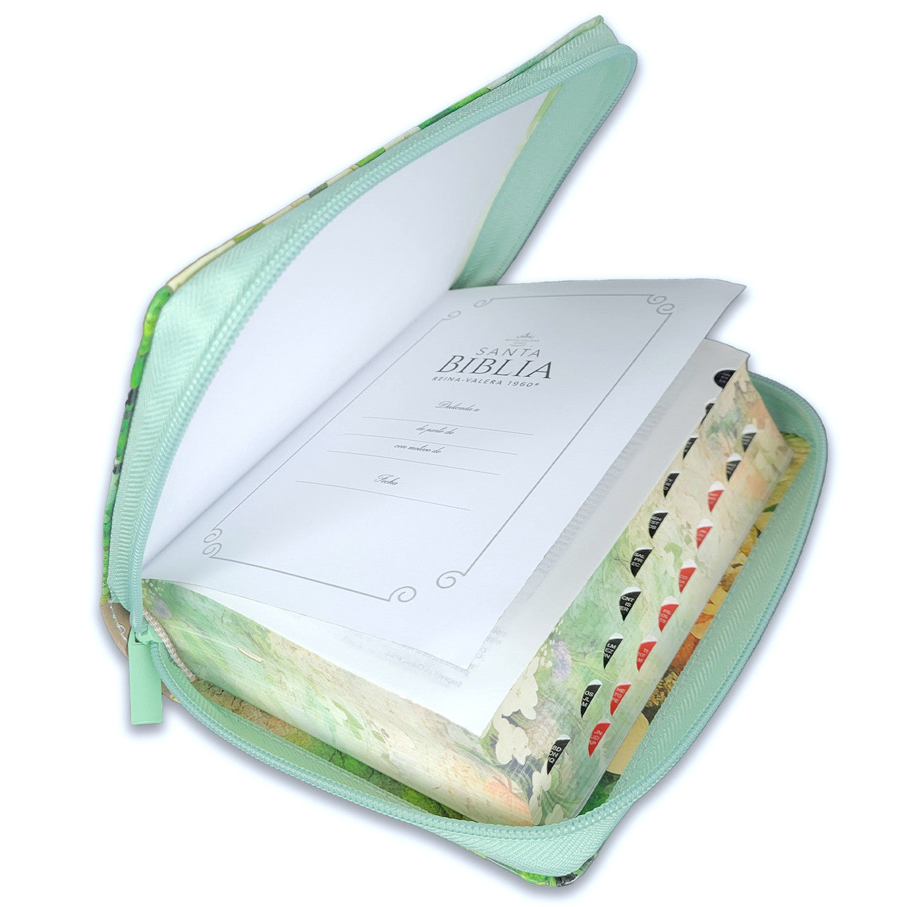 Biblia Reina Valera 1960 045Czti L 10P 13X18 Pjr Vintage Primavera