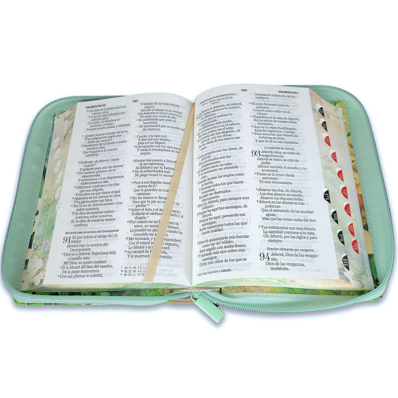 Biblia Reina Valera 1960 045Czti L 10P 13X18 Pjr Vintage Primavera