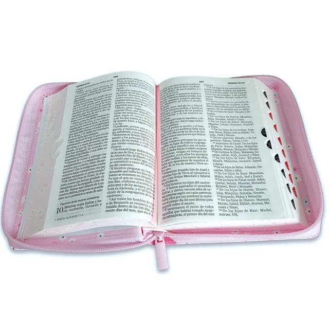 Biblia Reina Valera 1960 045Czti L 10P 13X18 Pjr Mariposas Y Flores