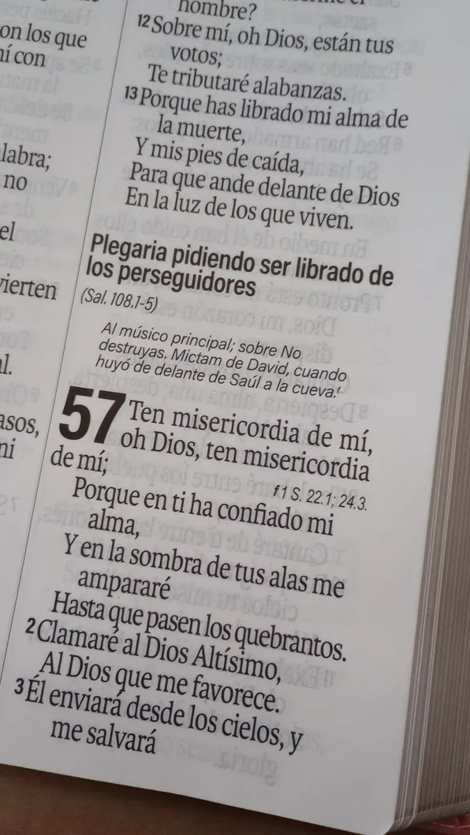 Biblia Reina Valera 1960 088C Lsgi 19P 16X23 Turquesa Floral