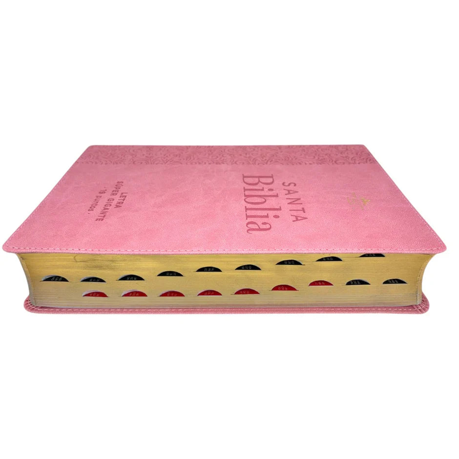 Biblia Reina Valera 1960 088C Lsgi 19P 16X23 Rosa Floral
