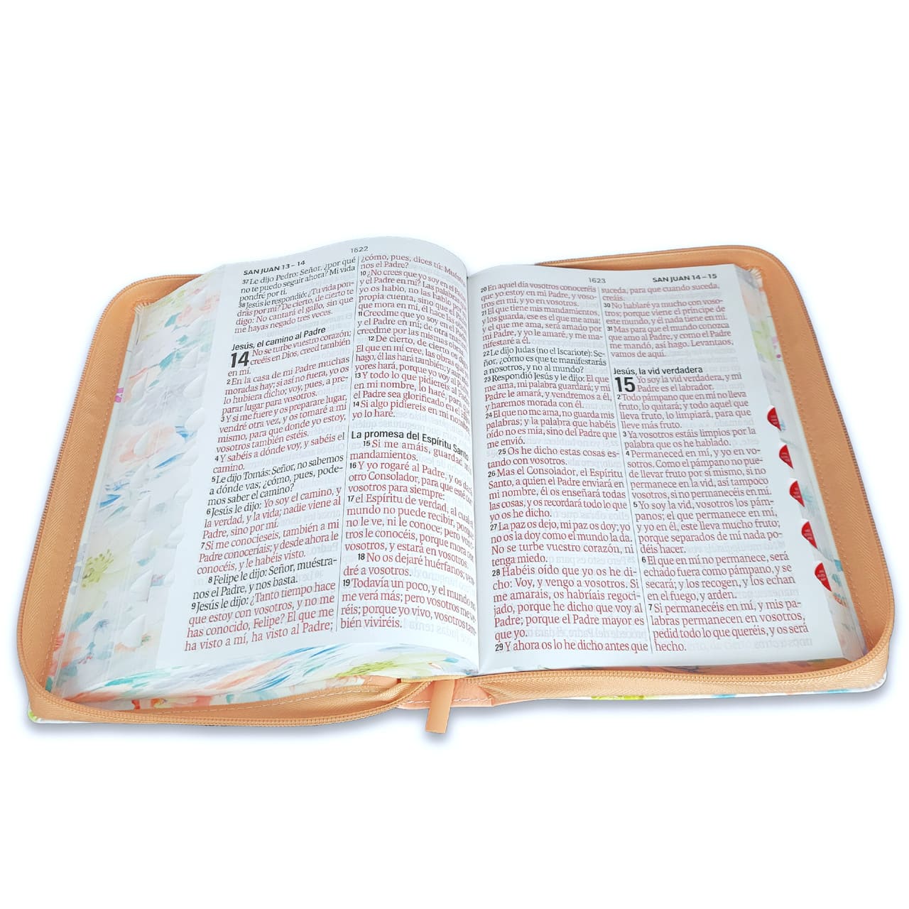 Biblia Reina Valera 1960 088Czti Lsgi 19P 16X23 Cp Jardín Coral