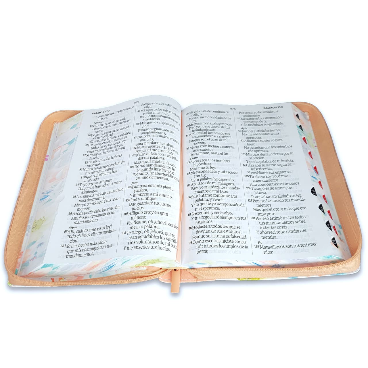 Biblia Reina Valera 1960 088Czti Lsgi 19P 16X23 Cp Jardín Coral