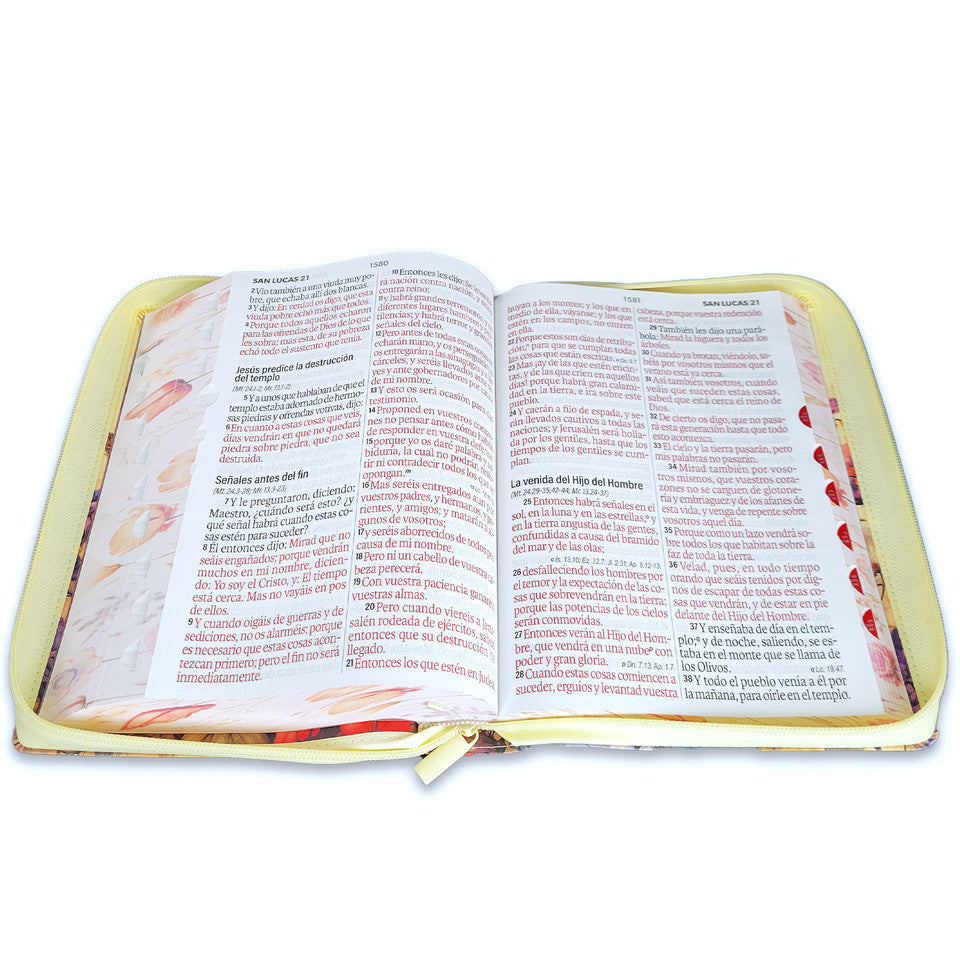 Biblia Reina Valera 1960 088Czti Lsgi 19P 16X23 Cp Jardín Vintage