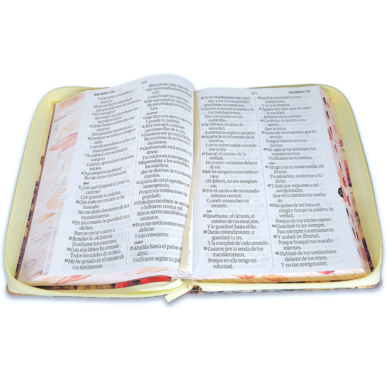 Biblia Reina Valera 1960 088Czti Lsgi 19P 16X23 Cp Jardín Vintage