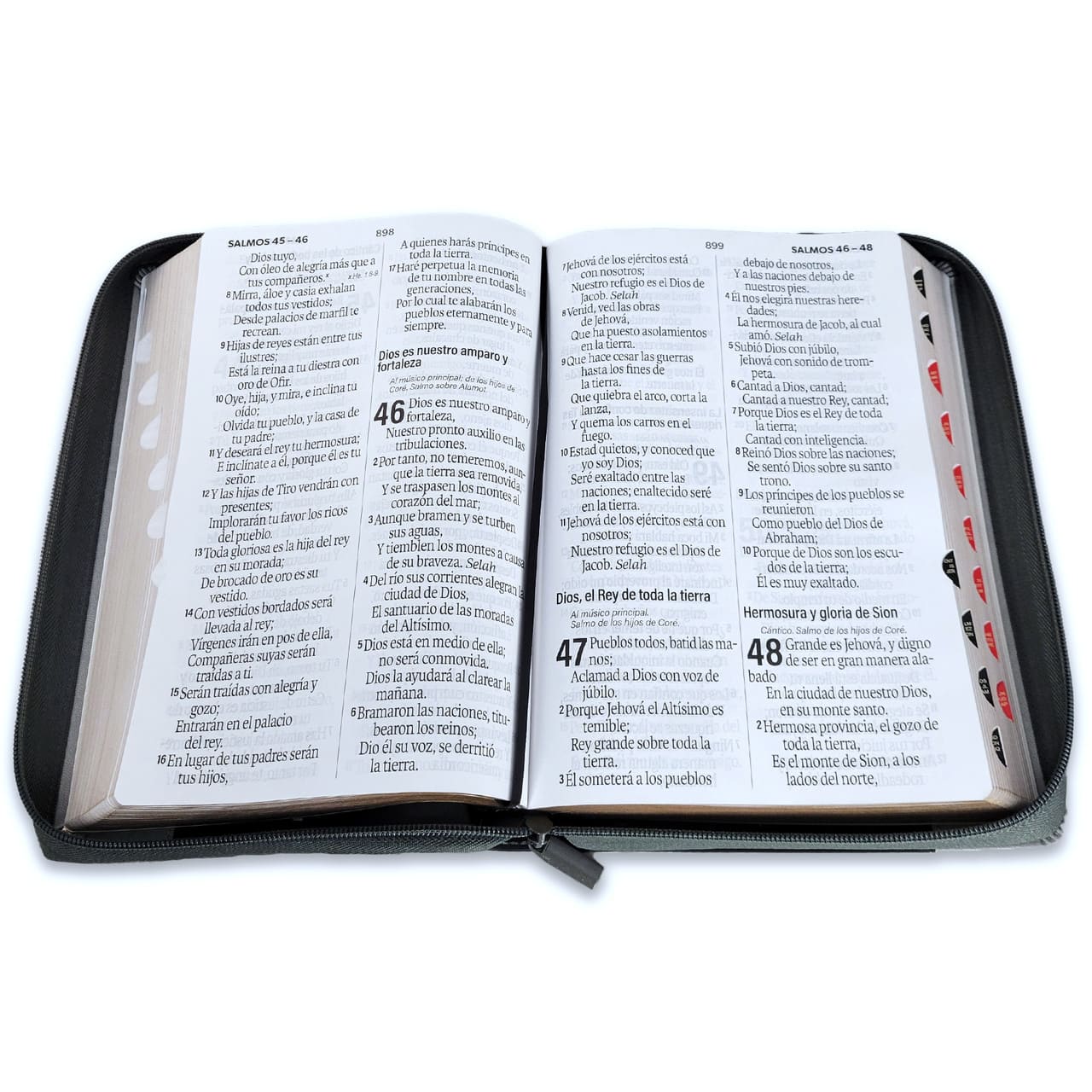 Biblia Reina Valera 1960 088Czti Lsgi 19P 16X23 Inspiración León Negro/Gris