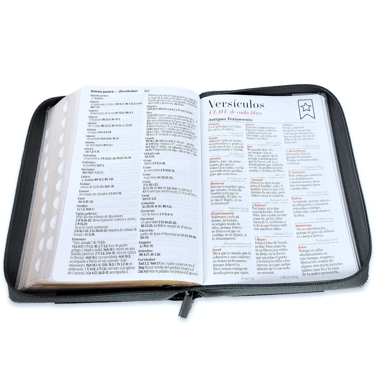Biblia Reina Valera 1960 088Czti Lsgi 19P 16X23 Inspiración León Negro/Gris