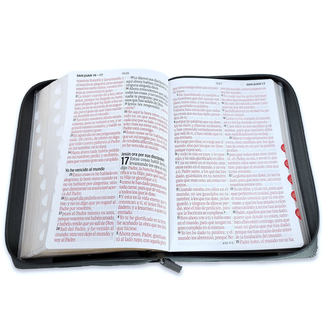 Biblia Reina Valera 1960 088Czti Lsgi 19P 16X23 Inspiración León Negro/Gris