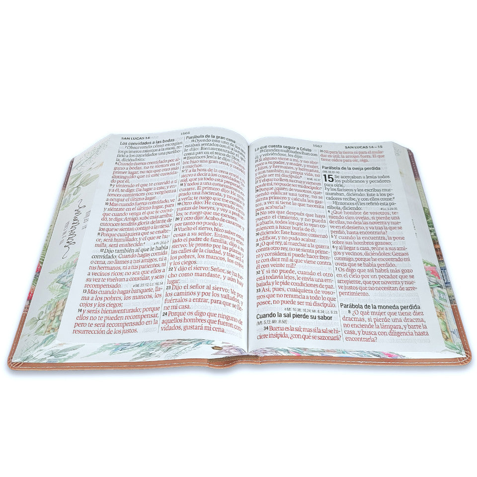 Biblia Reina Valera 1960 088C Lsgi 19P 16X23 Cp Pjr Yo Mi Casa