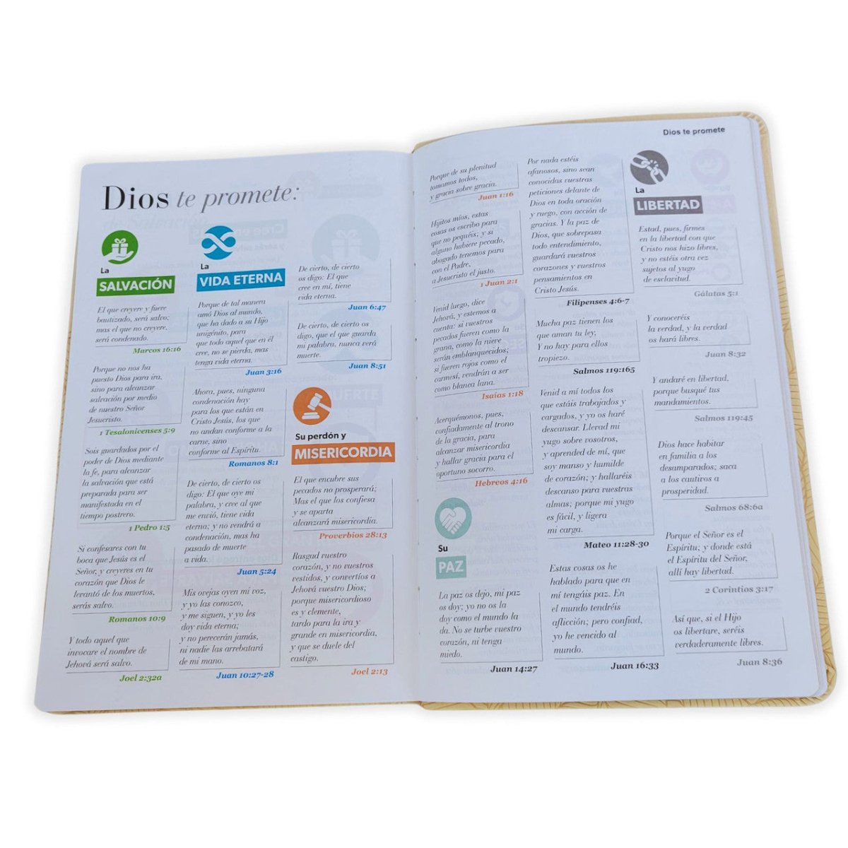 Biblia Reina-Valera 1960 062 Concordancia, Palabras De Jesús En Rojo, Letra 11 Pt, 13,8×21, Beige, Con Hojas