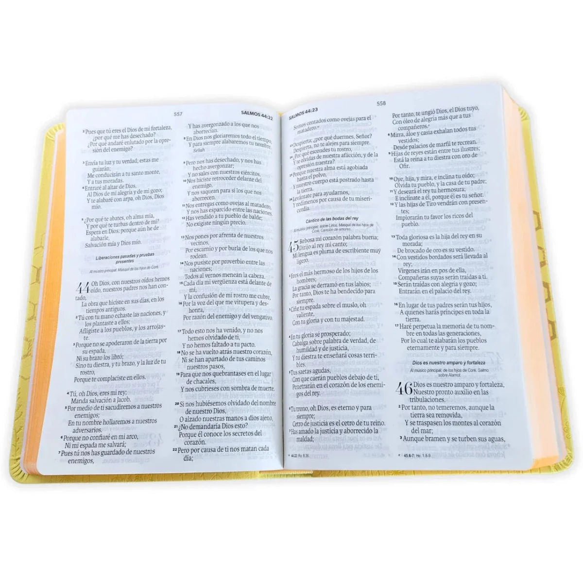 Biblia Reina-Valera 1960 062 Concordancia, Palabras De Jesús En Rojo, Letra 11 Pt, 13,8×21, Amarillo, Abejas