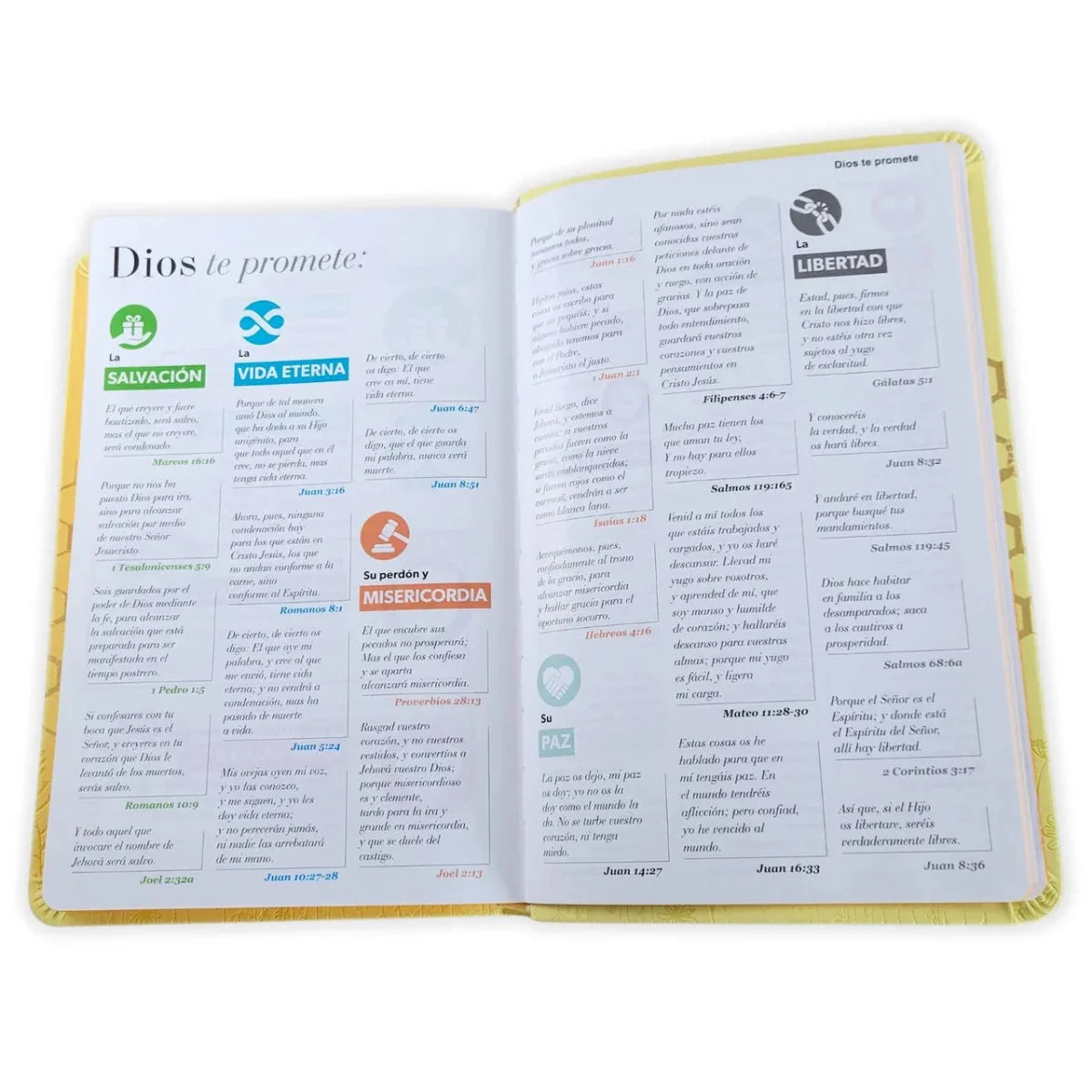 Biblia Reina-Valera 1960 062 Concordancia, Palabras De Jesús En Rojo, Letra 11 Pt, 13,8×21, Amarillo, Abejas