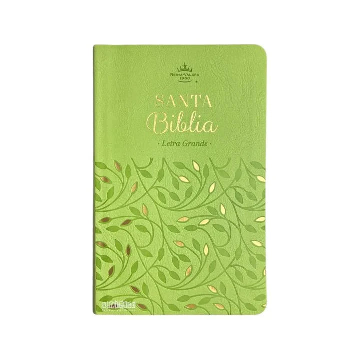 Biblia Reina-Valera 1960 062 Concordancia, Palabras De Jesús En Rojo, Letra 11 Pt, 13,8×21, Verde Olivo