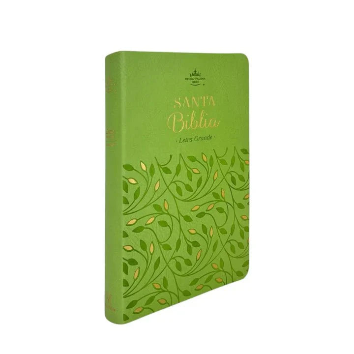 Biblia Reina-Valera 1960 062 Concordancia, Palabras De Jesús En Rojo, Letra 11 Pt, 13,8×21, Verde Olivo