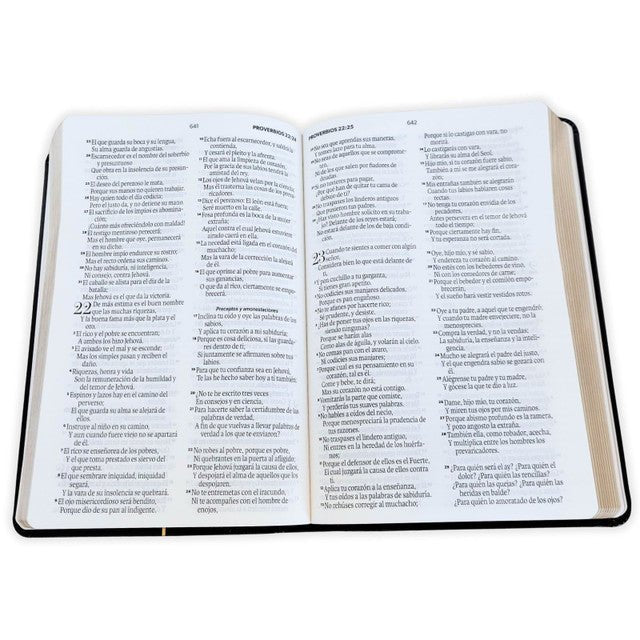 Biblia Reina-Valera 1960 062 Concordancia, Palabras De Jesús En Rojo, Letra 11 Pt, 13,8×21, Negro, Geométrico