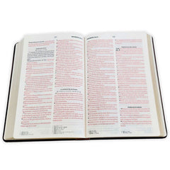 Biblia Reina-Valera 1960 062 Concordancia, Palabras De Jesús En Rojo, Letra 11 Pt, 13,8×21, Marrón Elegante