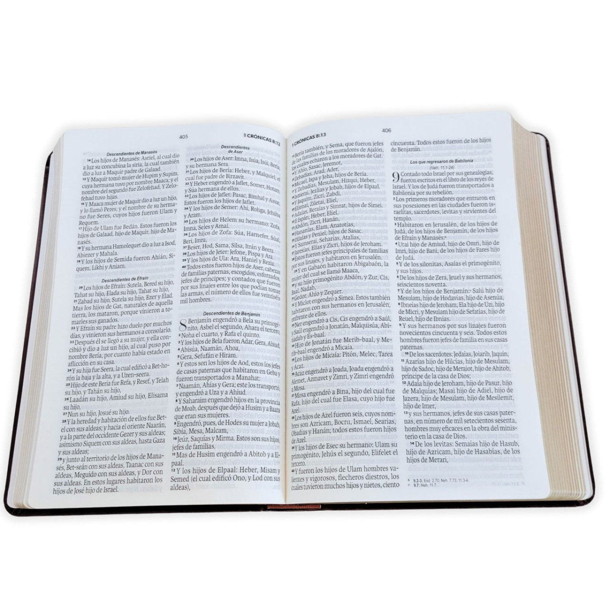 Biblia Reina-Valera 1960 062 Concordancia, Palabras De Jesús En Rojo, Letra 11 Pt, 13,8×21, Marrón Elegante