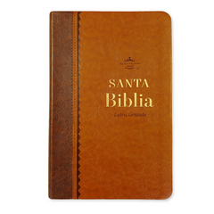 Biblia Reina Valera 1960 – 066 – Con Concordancia – Letra 11 pts – 15x22 cm – Café - Canto dorado