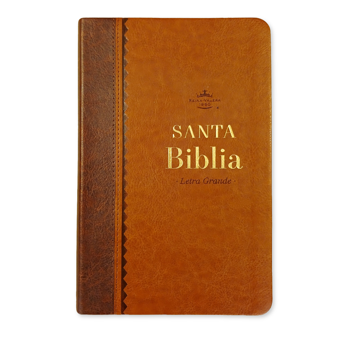 Biblia Reina Valera 1960 – 066 – Con Concordancia – Letra 11 pts – 15x22 cm – Café - Canto dorado