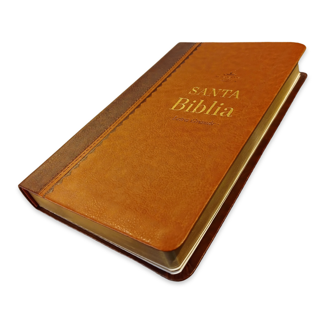 Biblia Reina Valera 1960 – 066 – Con Concordancia – Letra 11 pts – 15x22 cm – Café - Canto dorado
