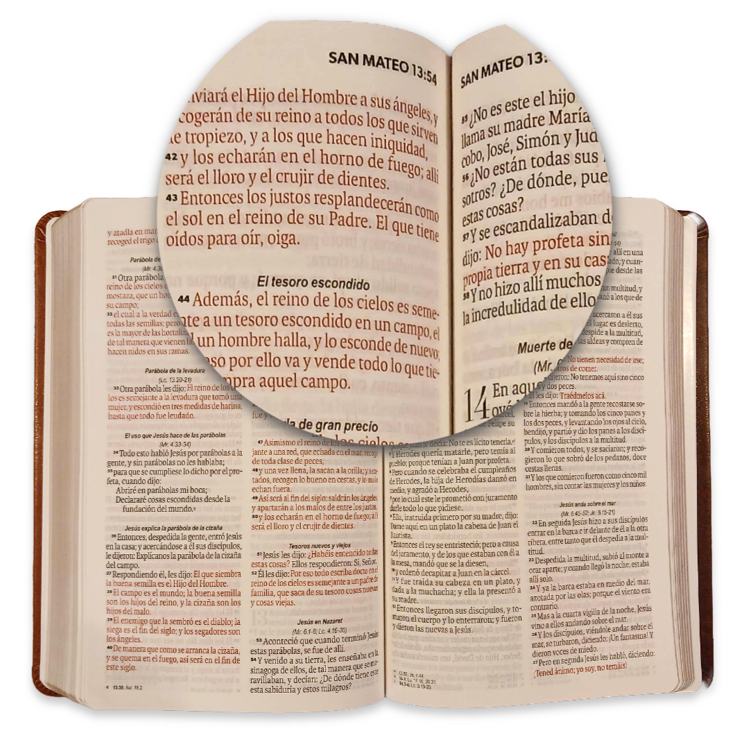 Biblia Reina Valera 1960 – 066 – Con Concordancia – Letra 11 pts – 15x22 cm – Café - Canto dorado