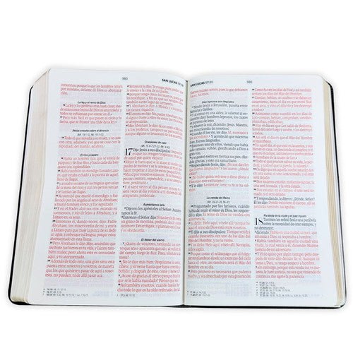 Biblia Reina Valera 1960 Vintage – Con Concordancia – Letra 11 pts – 14x21 cm – Tapa PU – Gris/Negro