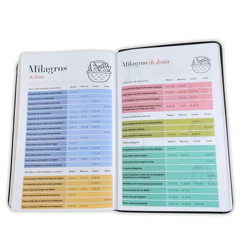 Biblia Reina Valera 1960 Vintage – Con Concordancia – Letra 11 pts – 14x21 cm – Tapa PU – Gris/Negro