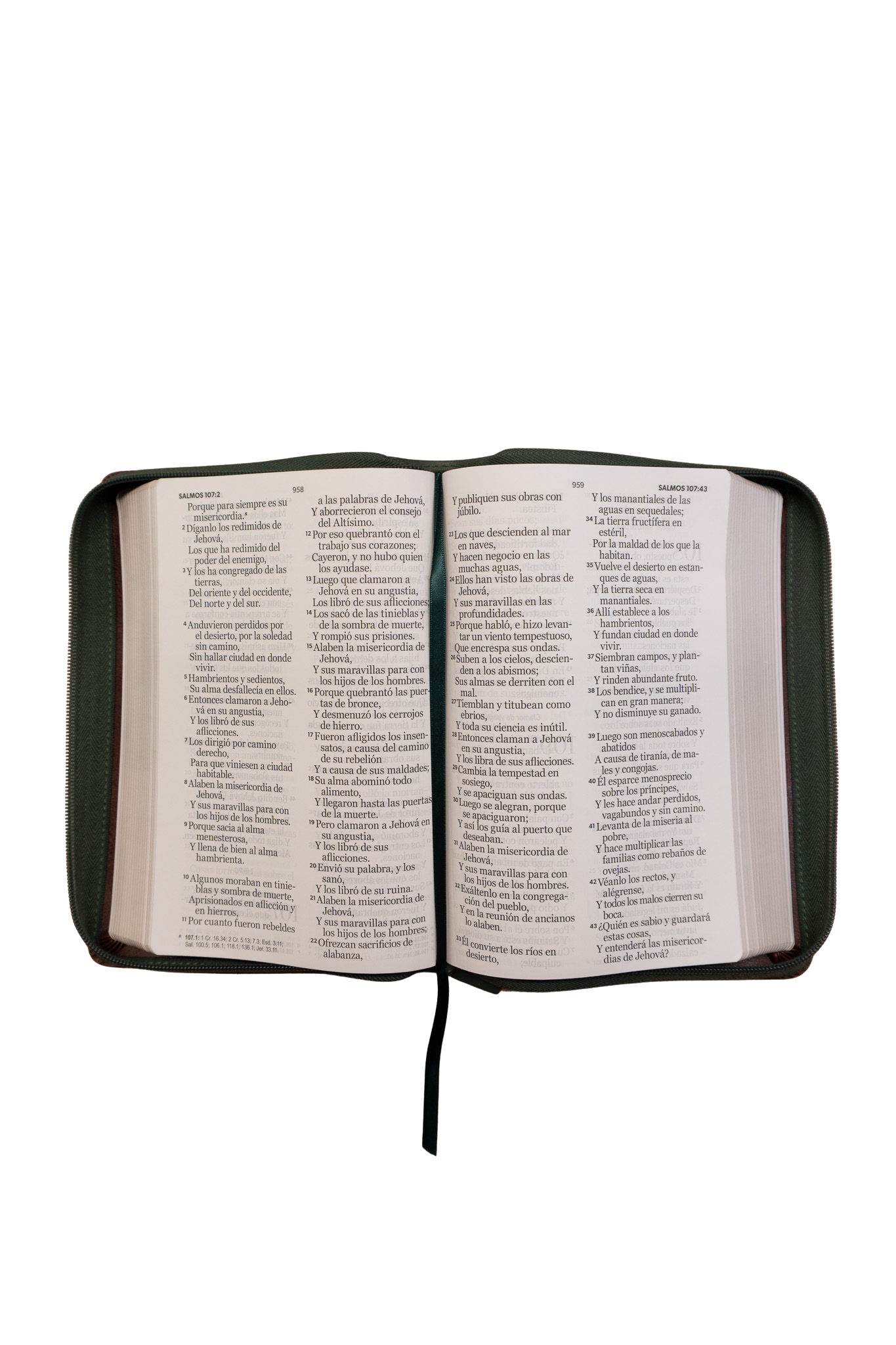 Biblia Reina Valera 1960 – 068 – Con Concordancia – Letra 14 pts – 14x21 cm – Cierre – Café/Verde Olivo