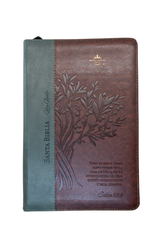 Biblia Reina Valera 1960 – 068 – Con Concordancia – Letra 14 pts – 14x21 cm – Cierre – Café/Verde Olivo