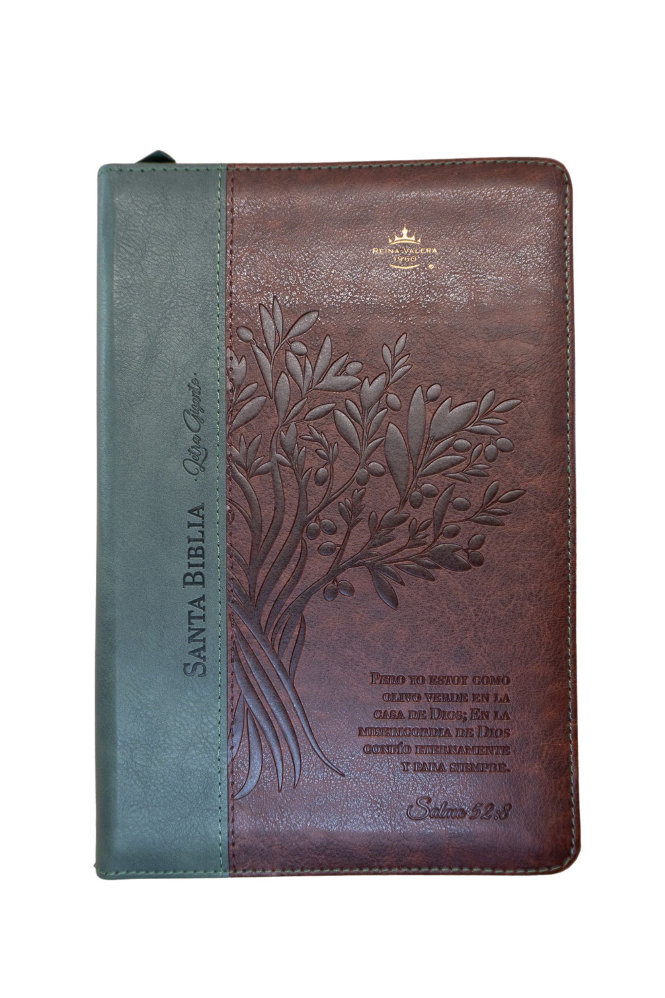Biblia Reina Valera 1960 – 068 – Con Concordancia – Letra 14 pts – 14x21 cm – Cierre – Café/Verde Olivo