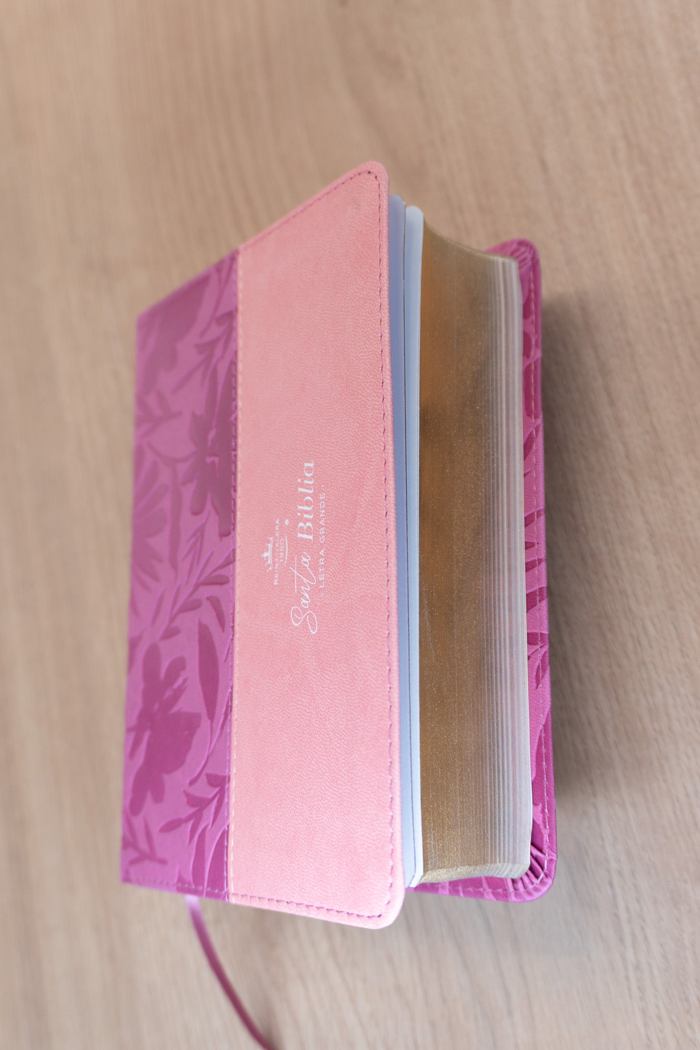 Biblia Reina Valera 1960 – 035 – Con Concordancia – Letra 12 pts – 11x16 cm – Rosa/Fucsia