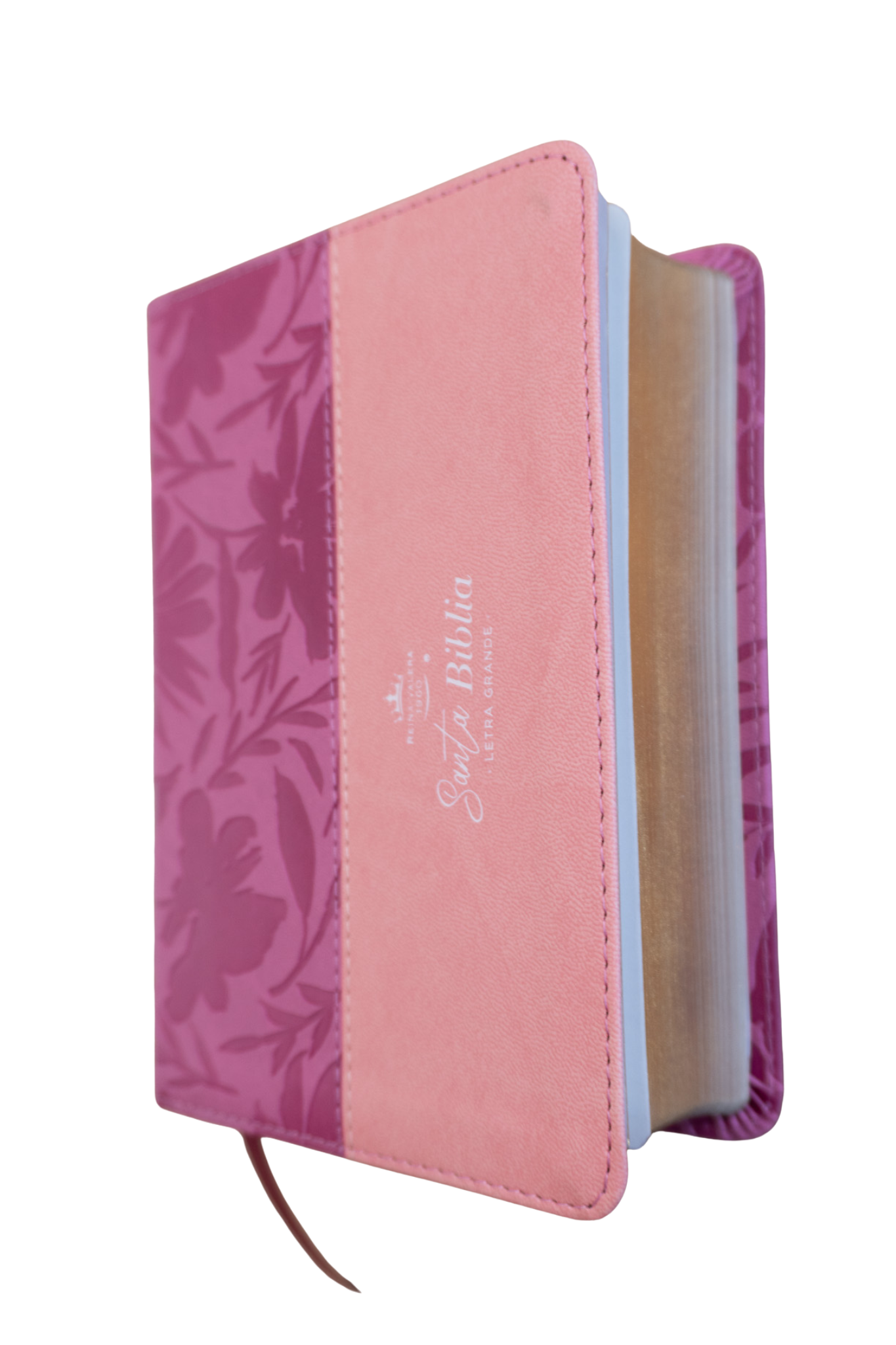Biblia Reina Valera 1960 – 035 – Con Concordancia – Letra 12 pts – 11x16 cm – Rosa/Fucsia