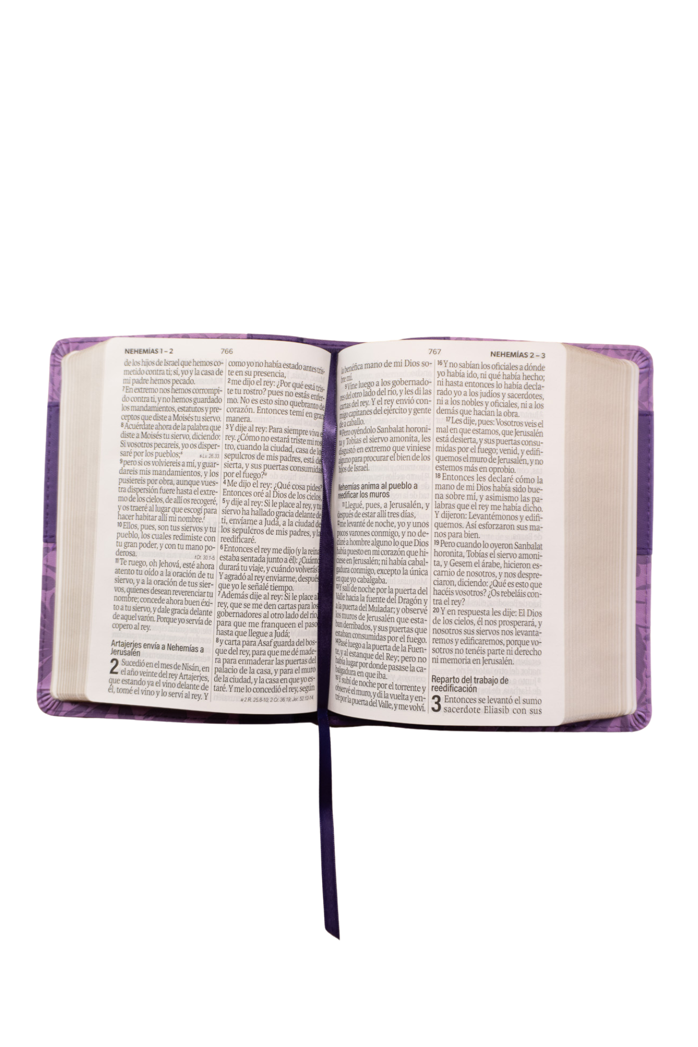 Biblia Reina Valera 1960 – 035 – Con Concordancia – Letra 12 pts – 11x16 cm – Lila