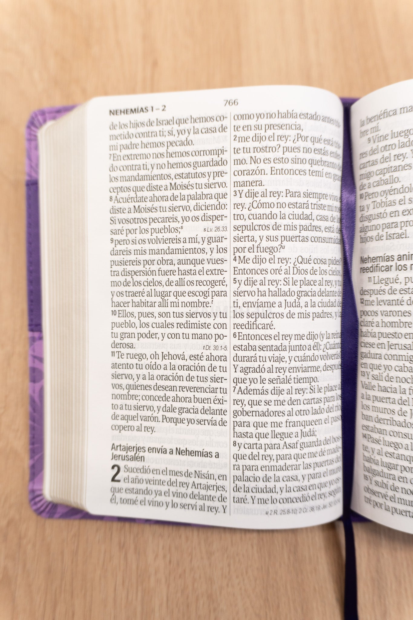 Biblia Reina Valera 1960 – 035 – Con Concordancia – Letra 12 pts – 11x16 cm – Lila