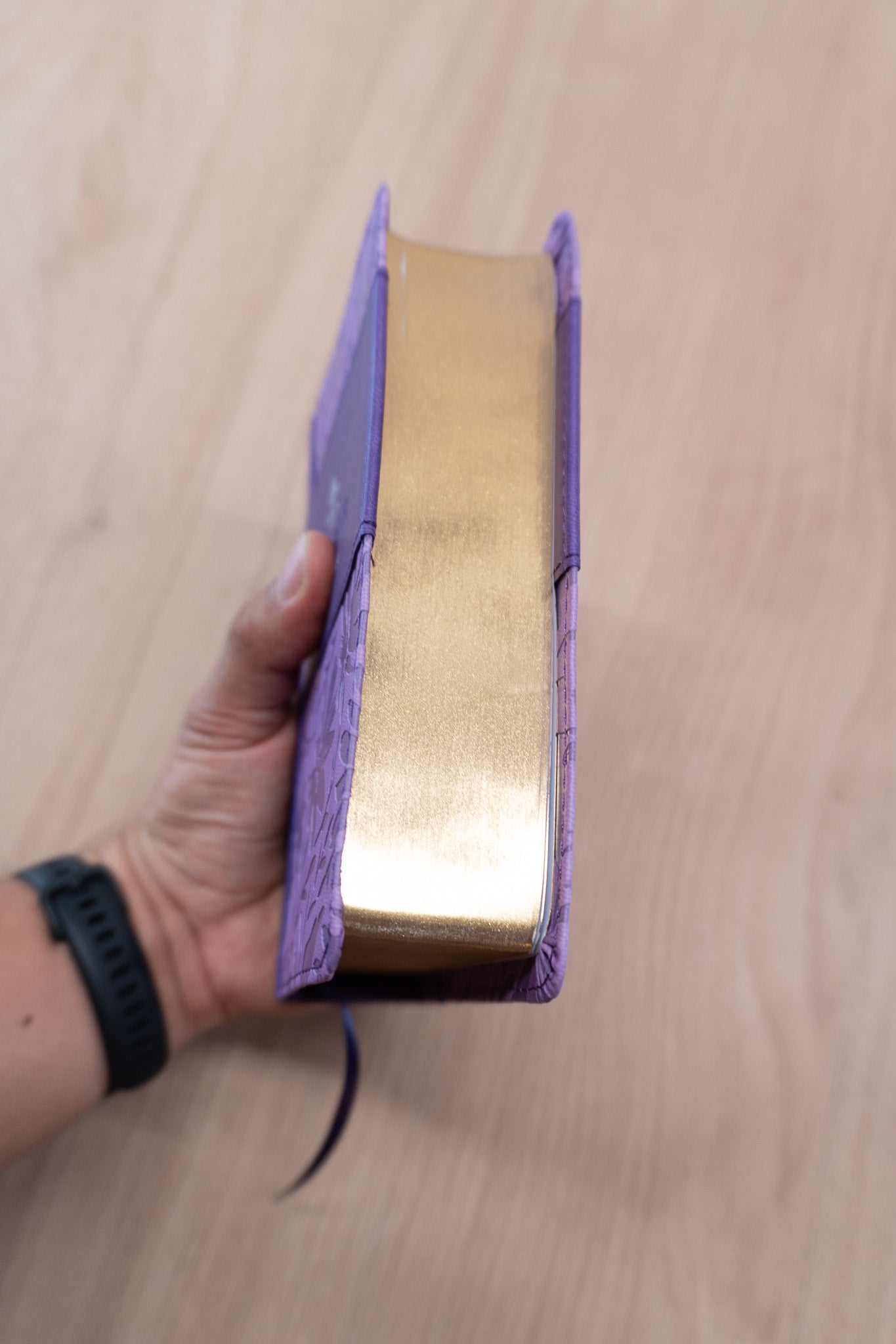 Biblia Reina Valera 1960 – 035 – Con Concordancia – Letra 12 pts – 11x16 cm – Lila